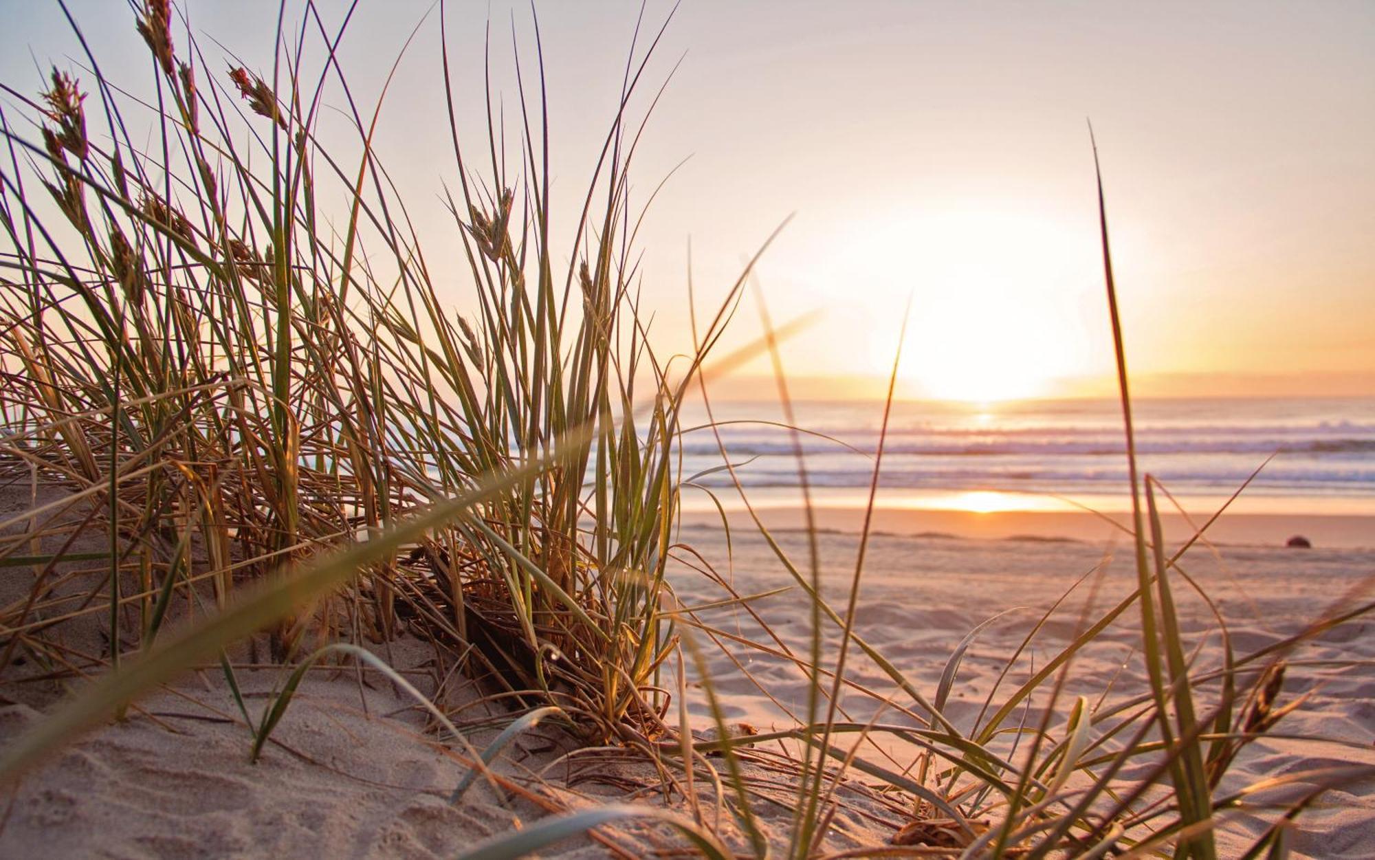 Romantic Lakeside By The Beach! With Super Cosy Log Burner! The Perfect Escape To Your From By The Sea! So Relaxing - Won't Want To Leave! Pet Friendly! * Mablethorpe